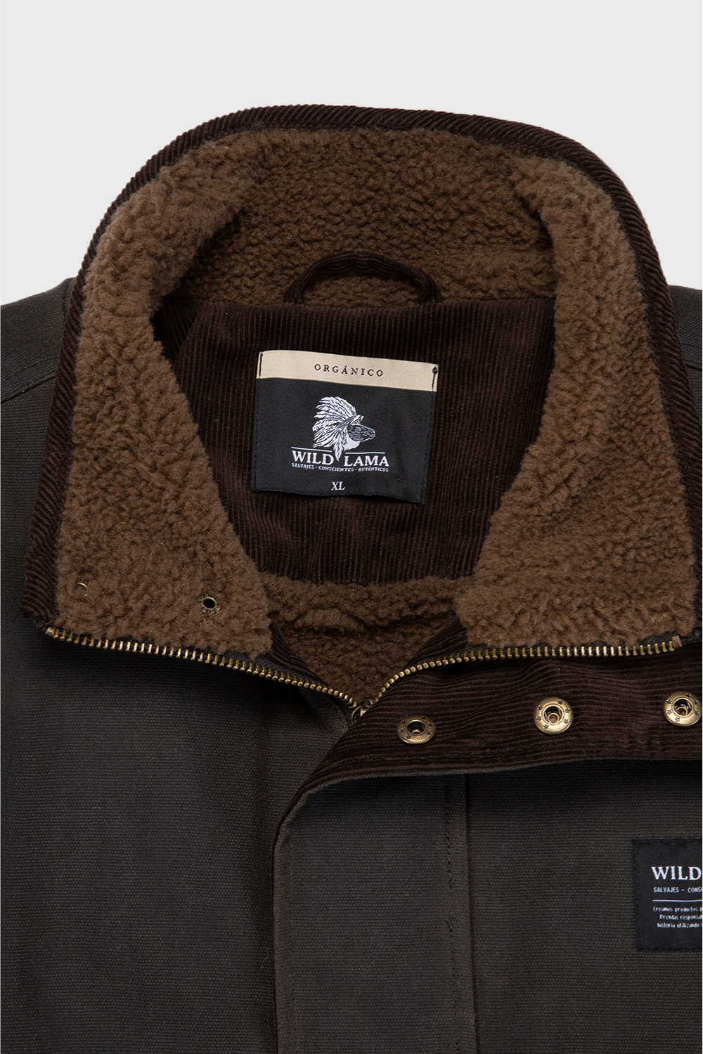 Chaqueta Tova Orgánica Verde Hombre