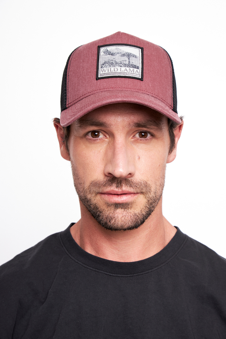 Jockey Forest Orgánico Burdeo