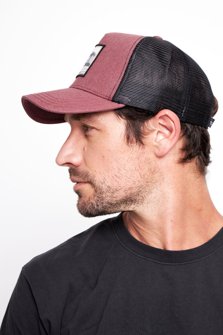 Jockey Forest Orgánico Burdeo