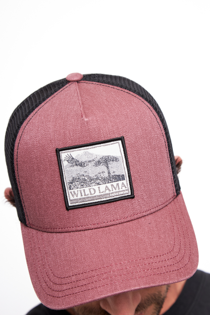 Jockey Forest Orgánico Burdeo