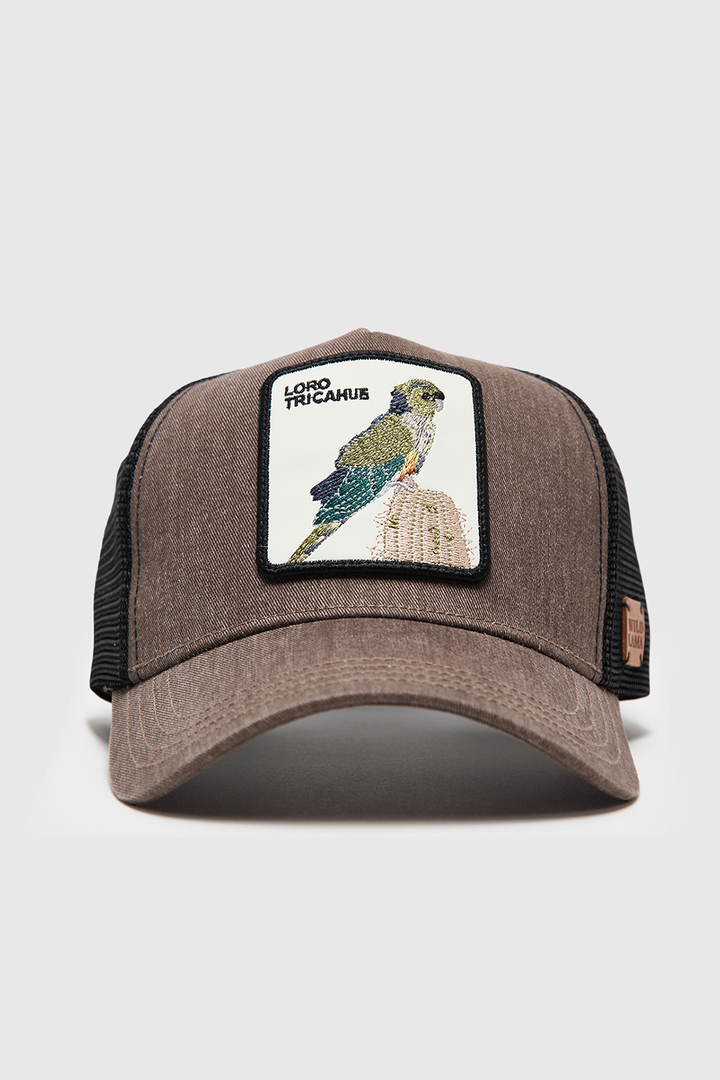 Jockey Loro Tricahue Orgánico Café Lavado