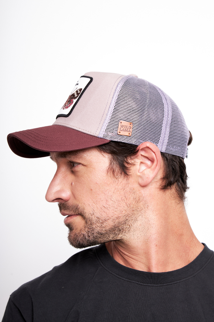 Jockey Mariposa del Chagual Orgánico Lila