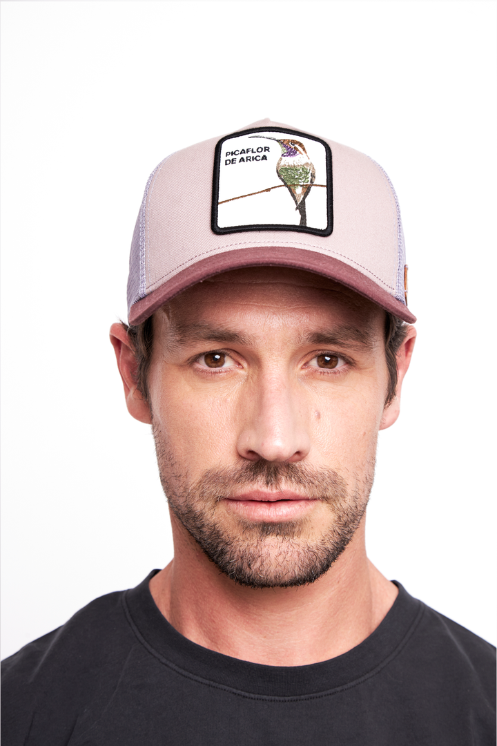 Jockey Picaflor Orgánico Lila