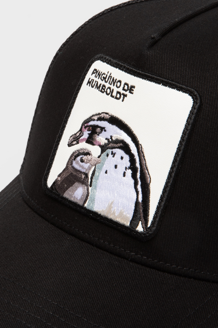 Jockey Pinguino Cachorro Orgánico Negro