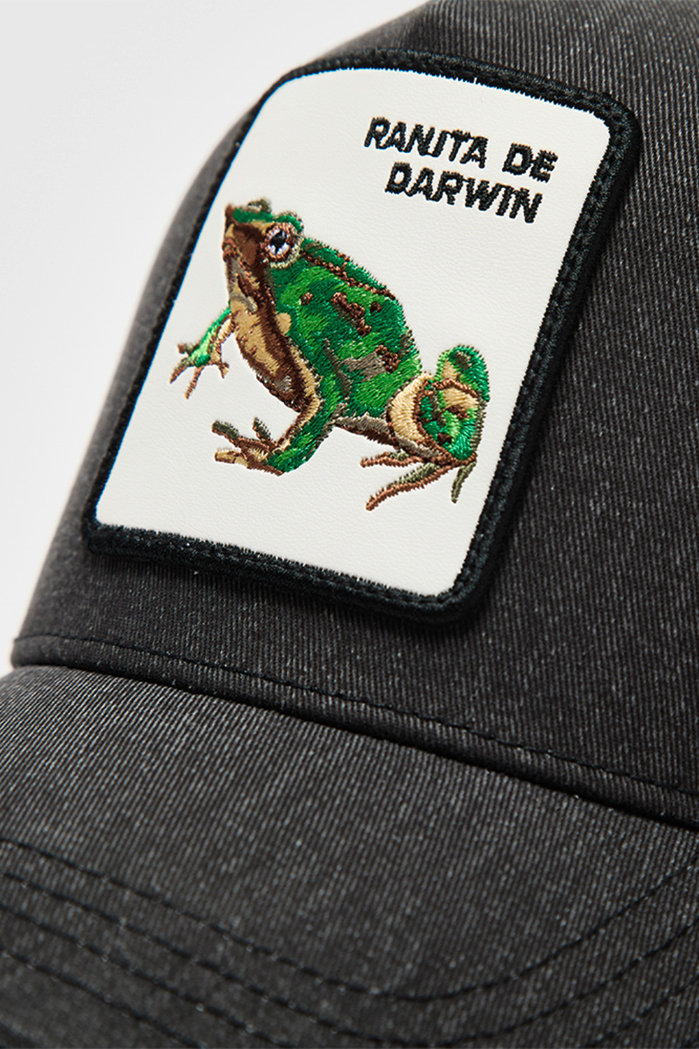 Jockey Ranita de Darwin Negro Lavado