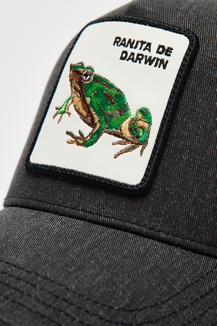 Jockey Ranita de Darwin Negro Lavado