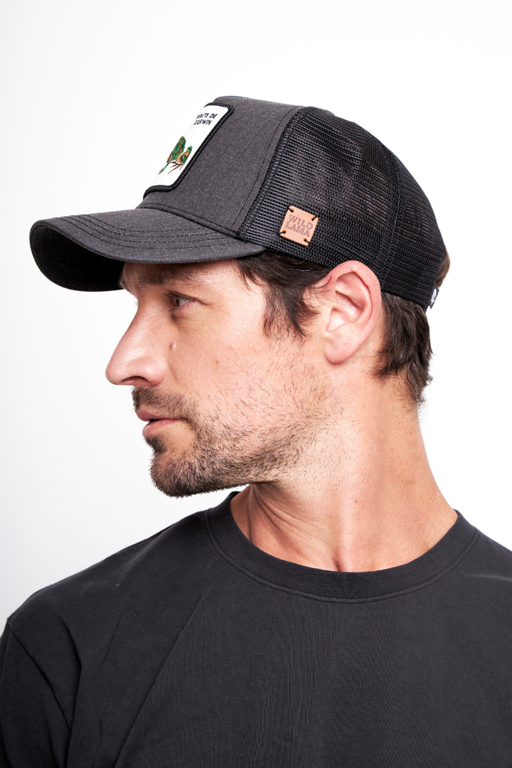 Jockey Ranita de Darwin Negro Lavado