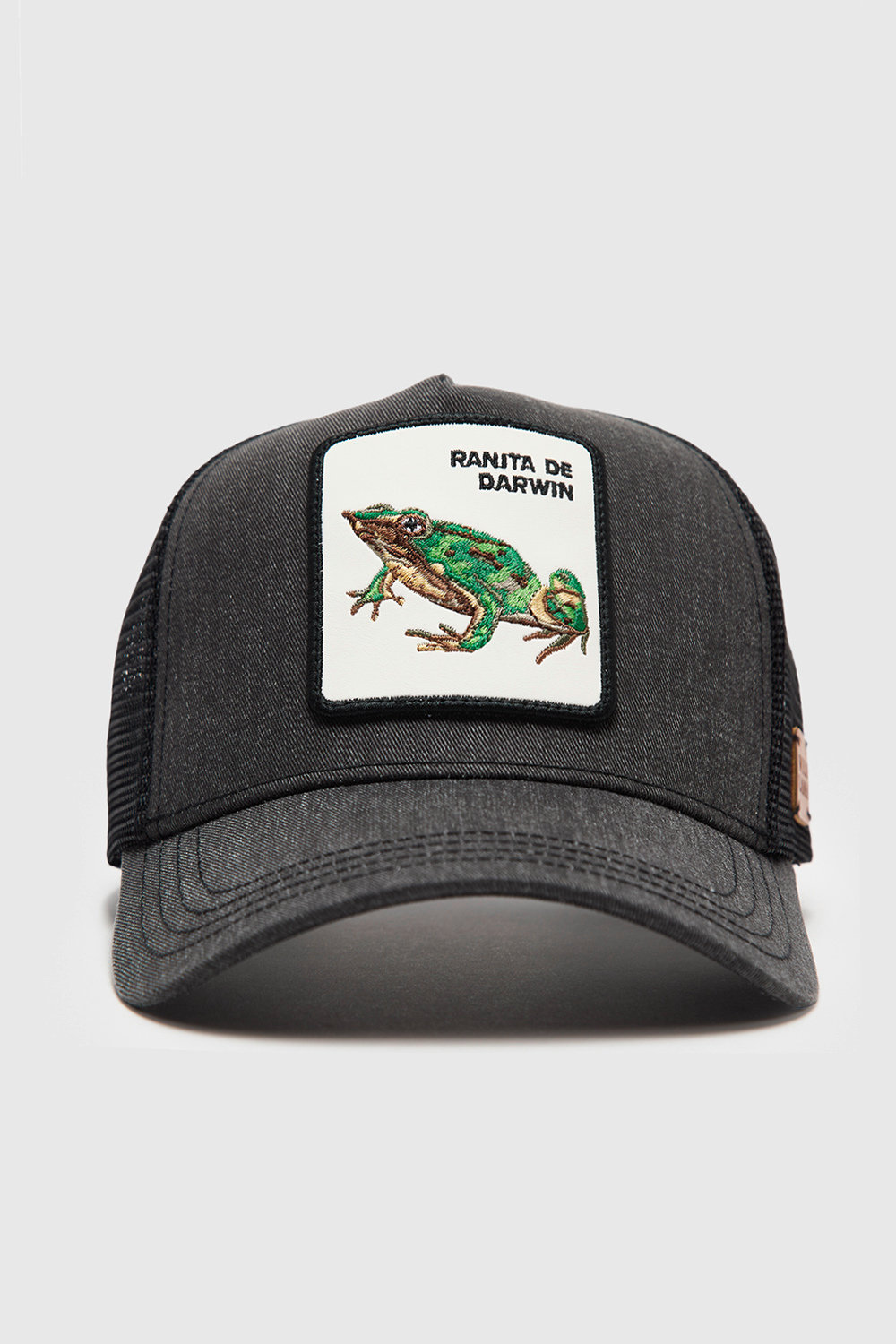 Jockey Ranita de Darwin Negro Lavado