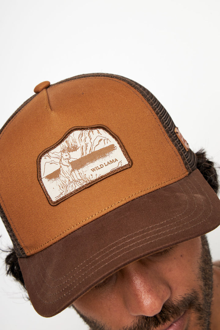 Jockey Tenken Orgánico Café