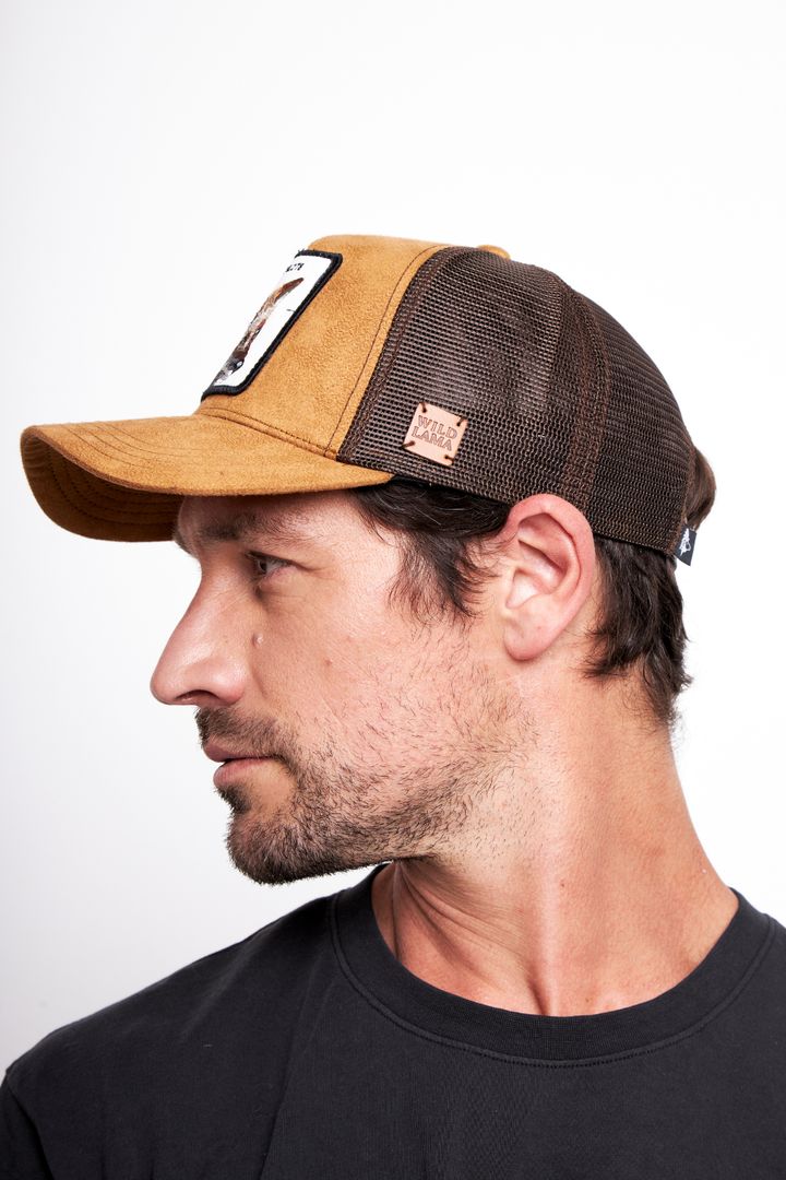 Jockey Zorro Chilote Camel Gamuza