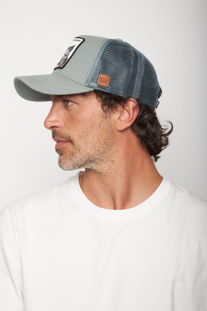 Jockey Gato Andino Fibra de Origen Natural Aqua Lino