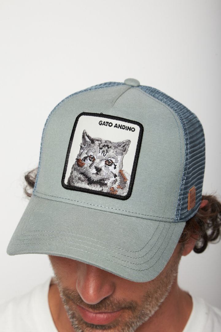 Jockey Gato Andino Fibra de Origen Natural Aqua Lino