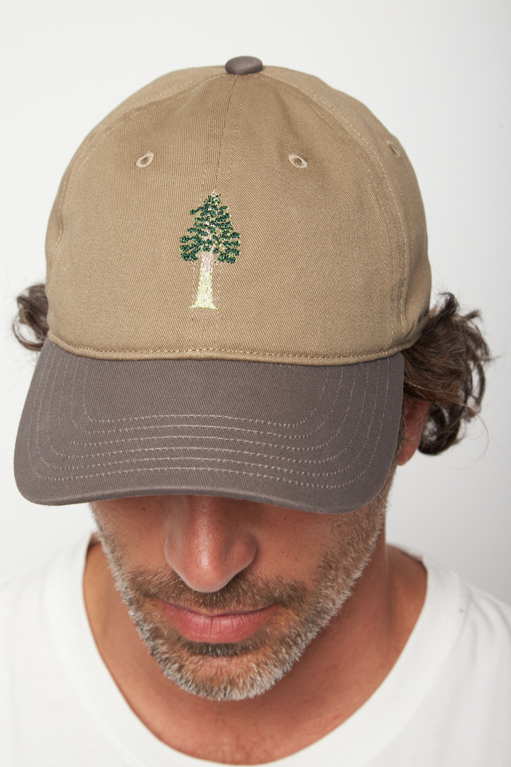 Jockey Árbol Alerce Milenario Orgánico Verde Militar