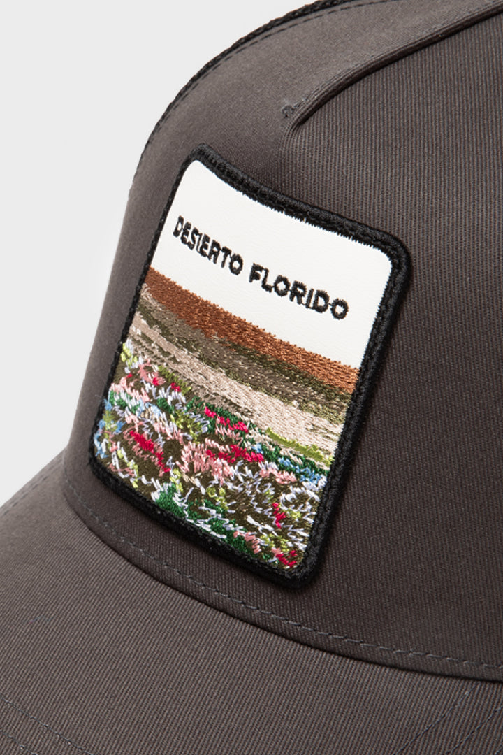 Jockey Desierto Florido Orgánico Gris