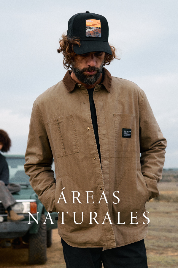 Everlane