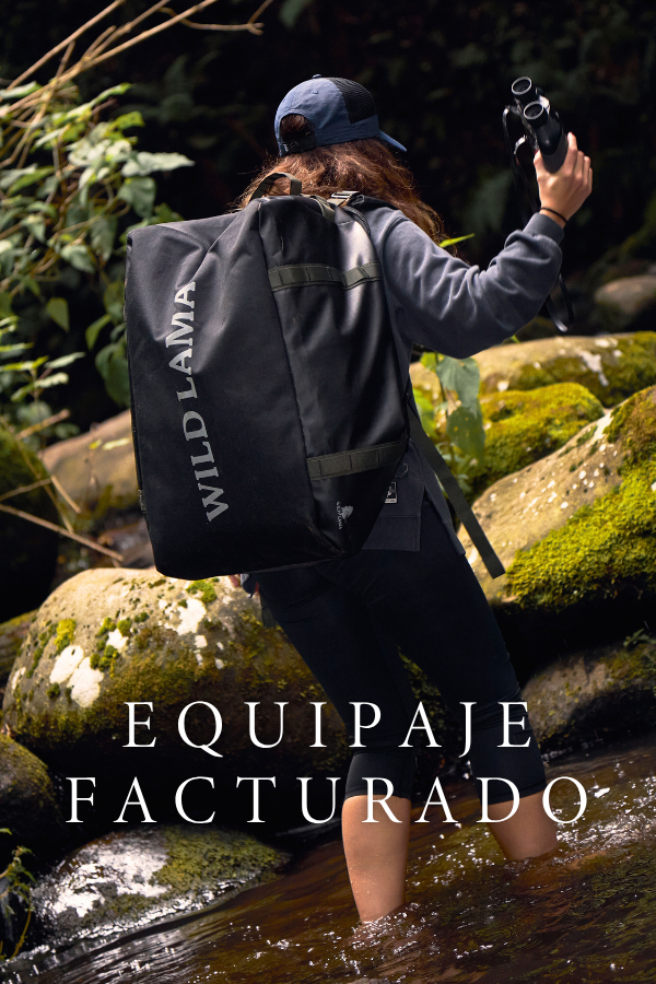 Everlane