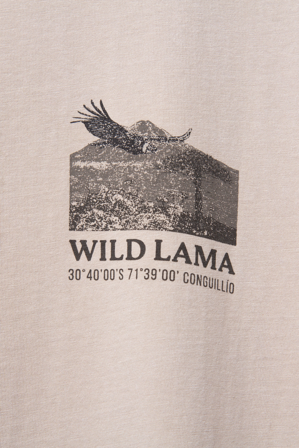 Polera Forest Orgánica Beige Hombre