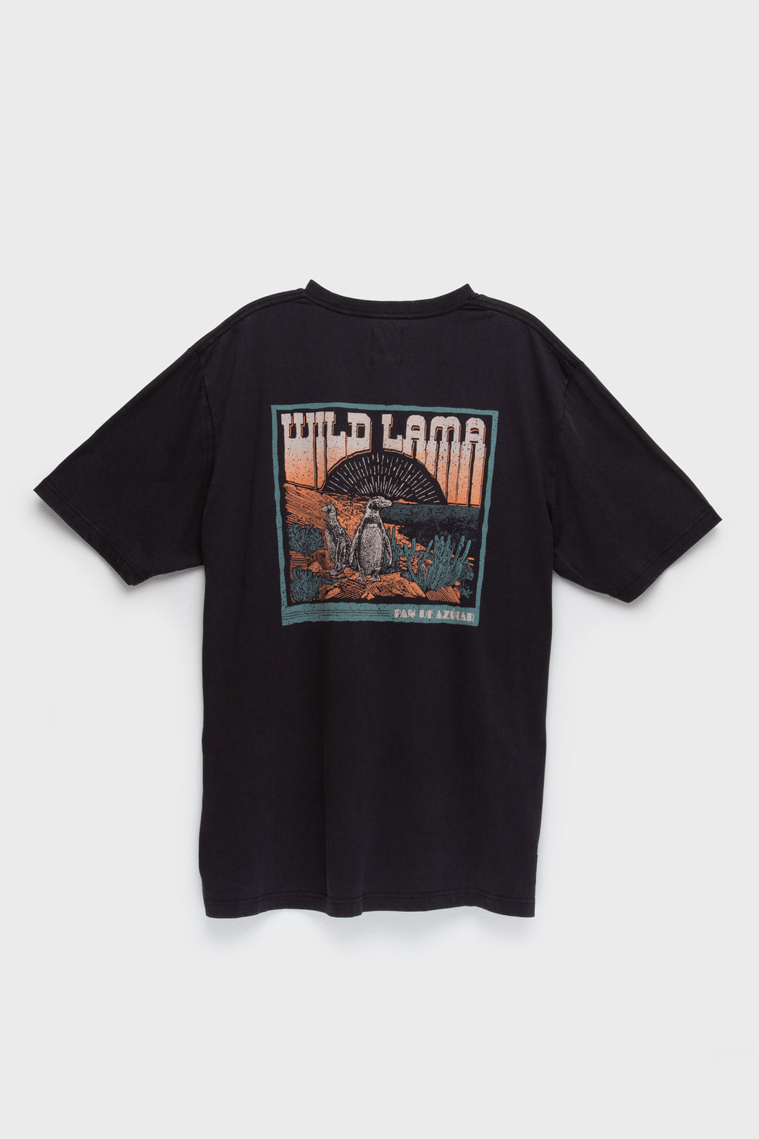 Polera Forest Orgánica Negra Hombre