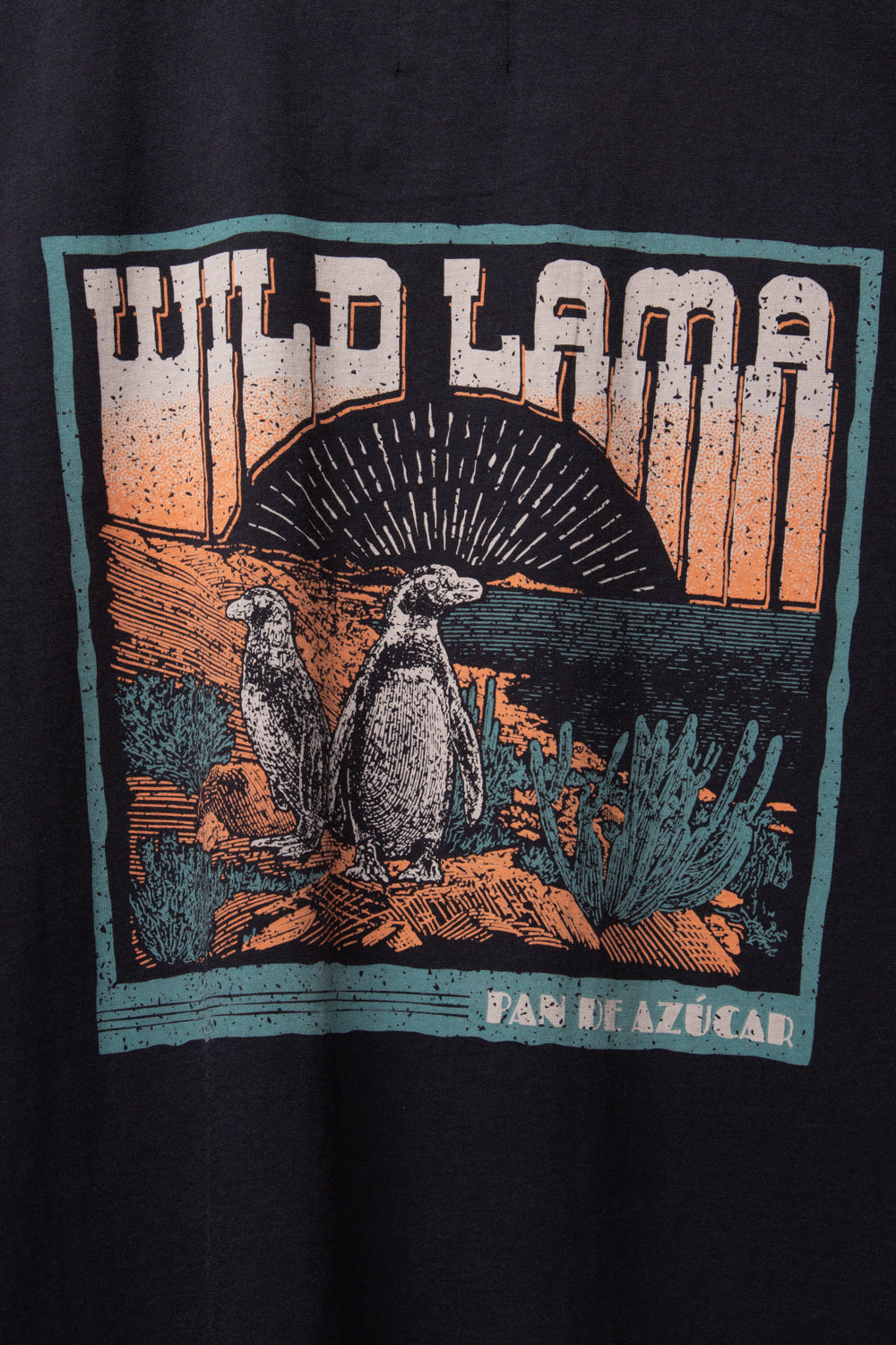 Polera Forest Orgánica Negra Hombre