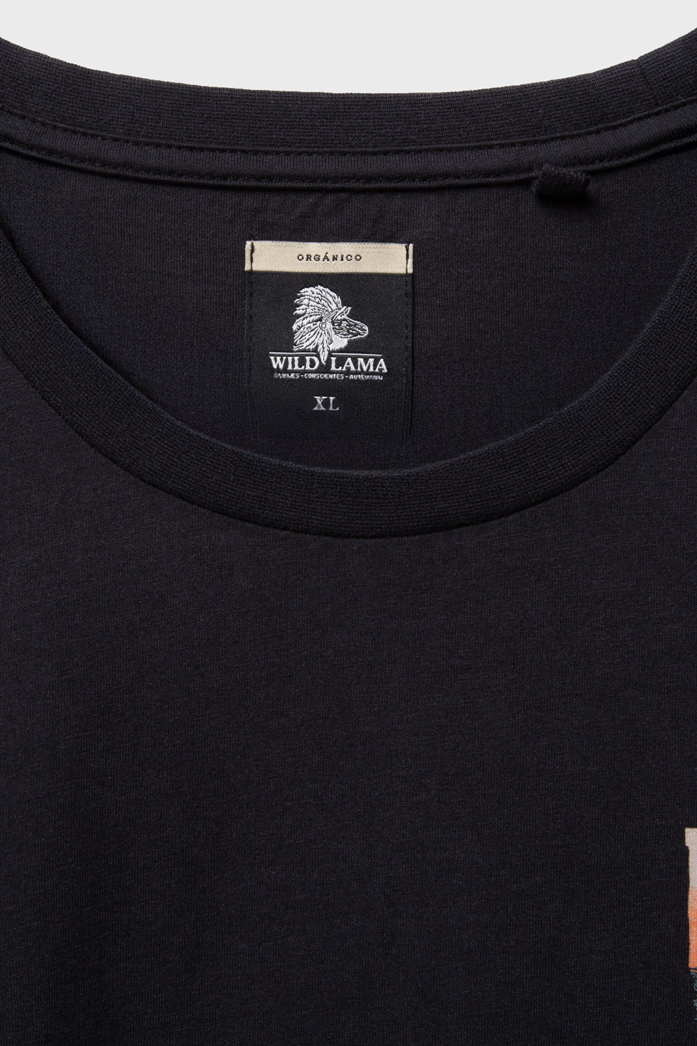 Polera Forest Orgánica Negra Hombre