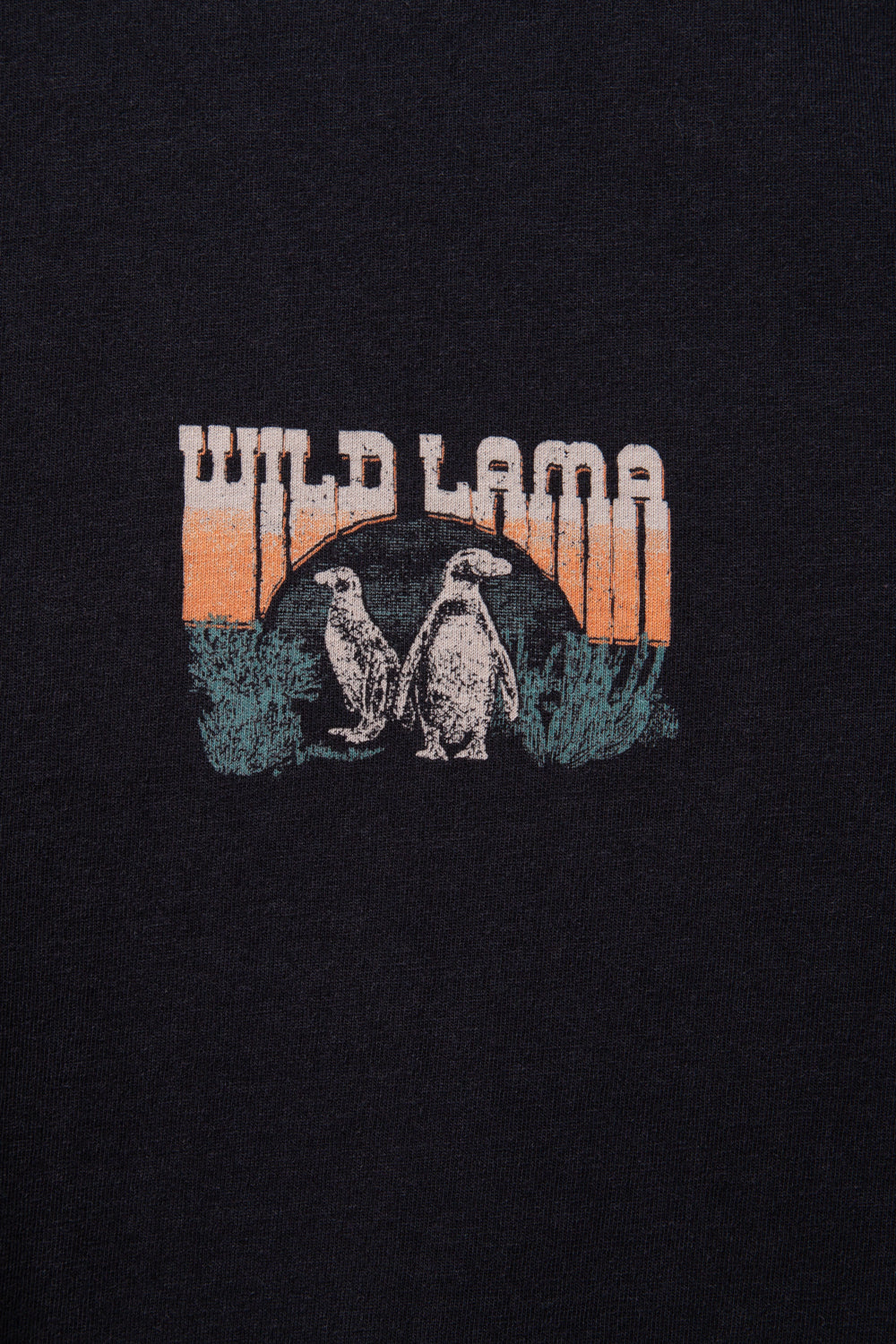 Polera Forest Orgánica Negra Hombre