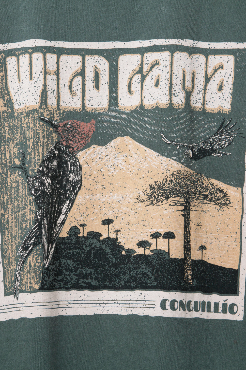 Polera Forest Orgánica Petróleo Hombre