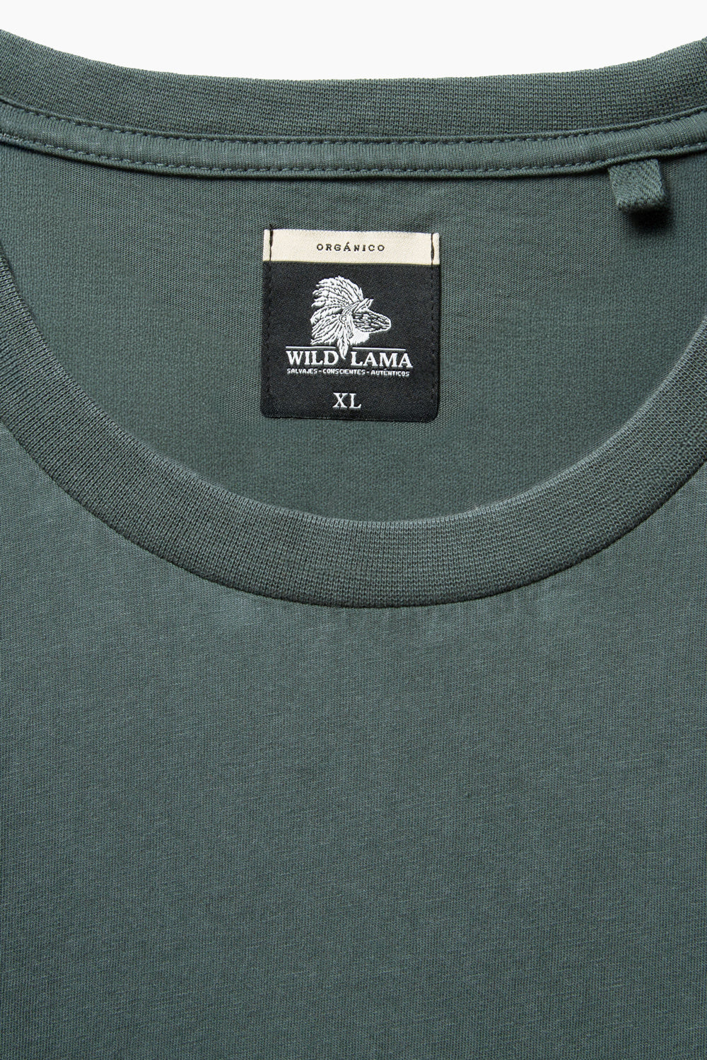 Polera Forest Orgánica Petróleo Hombre