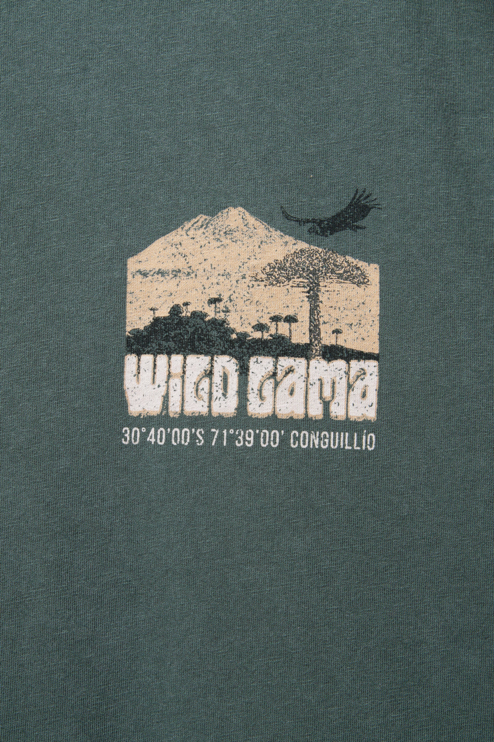 Polera Forest Orgánica Petróleo Hombre