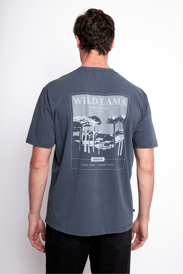 Polera Karu Orgánica Gris Azulado Hombre