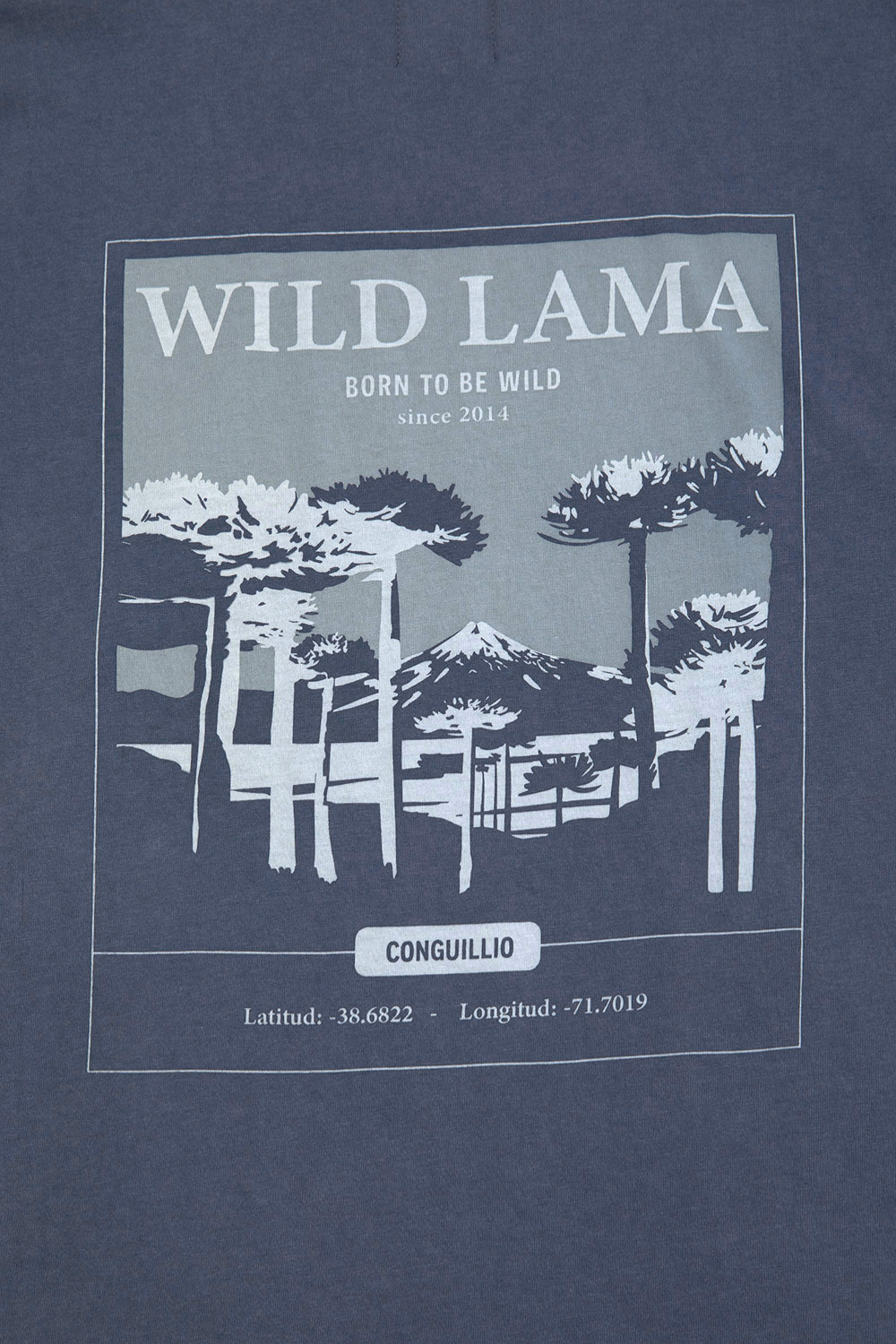 Polera Karu Orgánica Gris Azulado Hombre