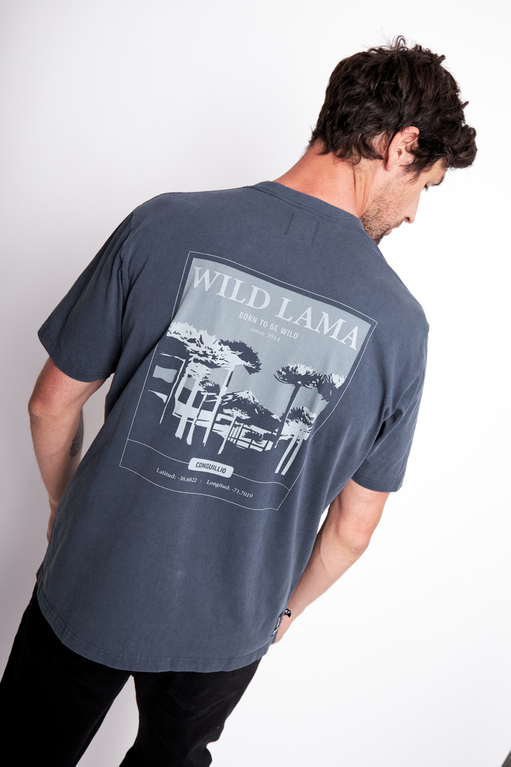 Polera Karu Orgánica Gris Azulado Hombre