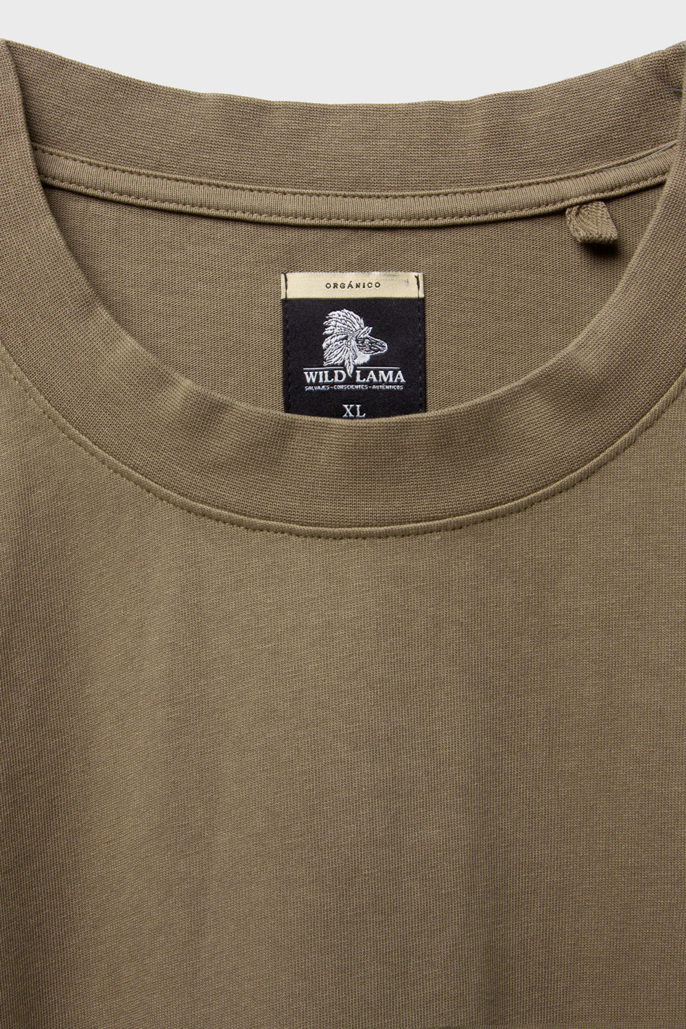 Polera Otto Orgánica Verde Hombre