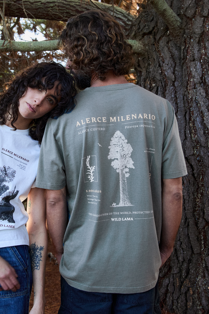 Polera Rolan Orgánica Verde Hombre