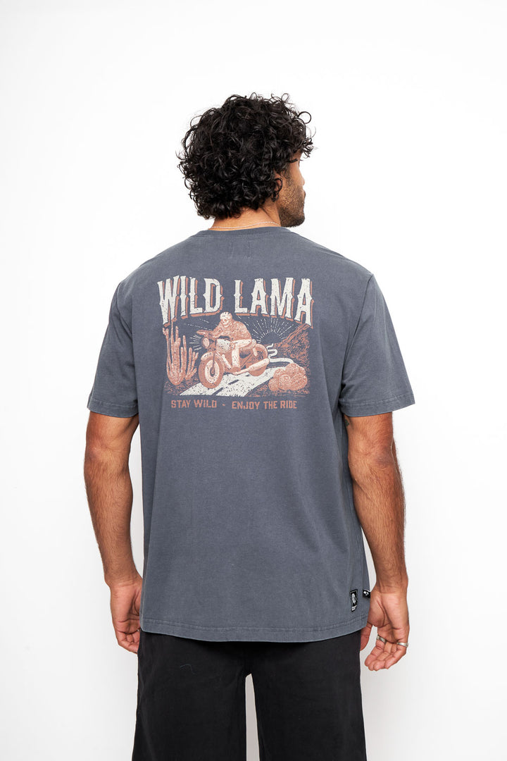 Polera Rolan Orgánica Azul hombre