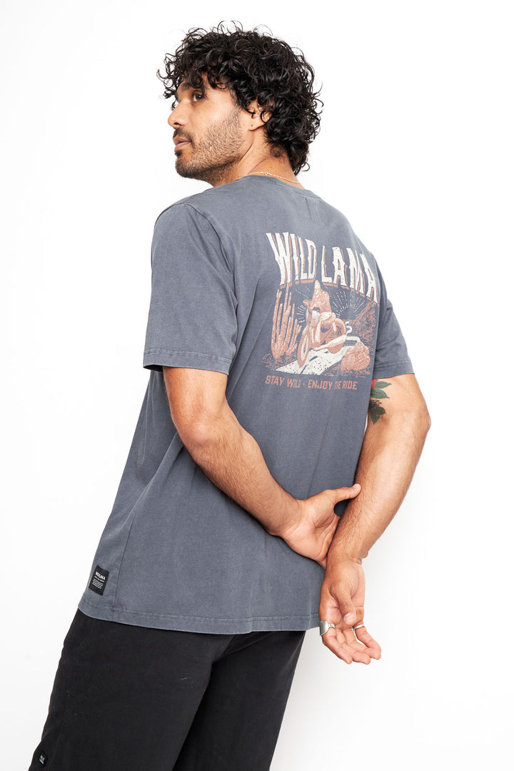 Polera Rolan Orgánica Azul hombre