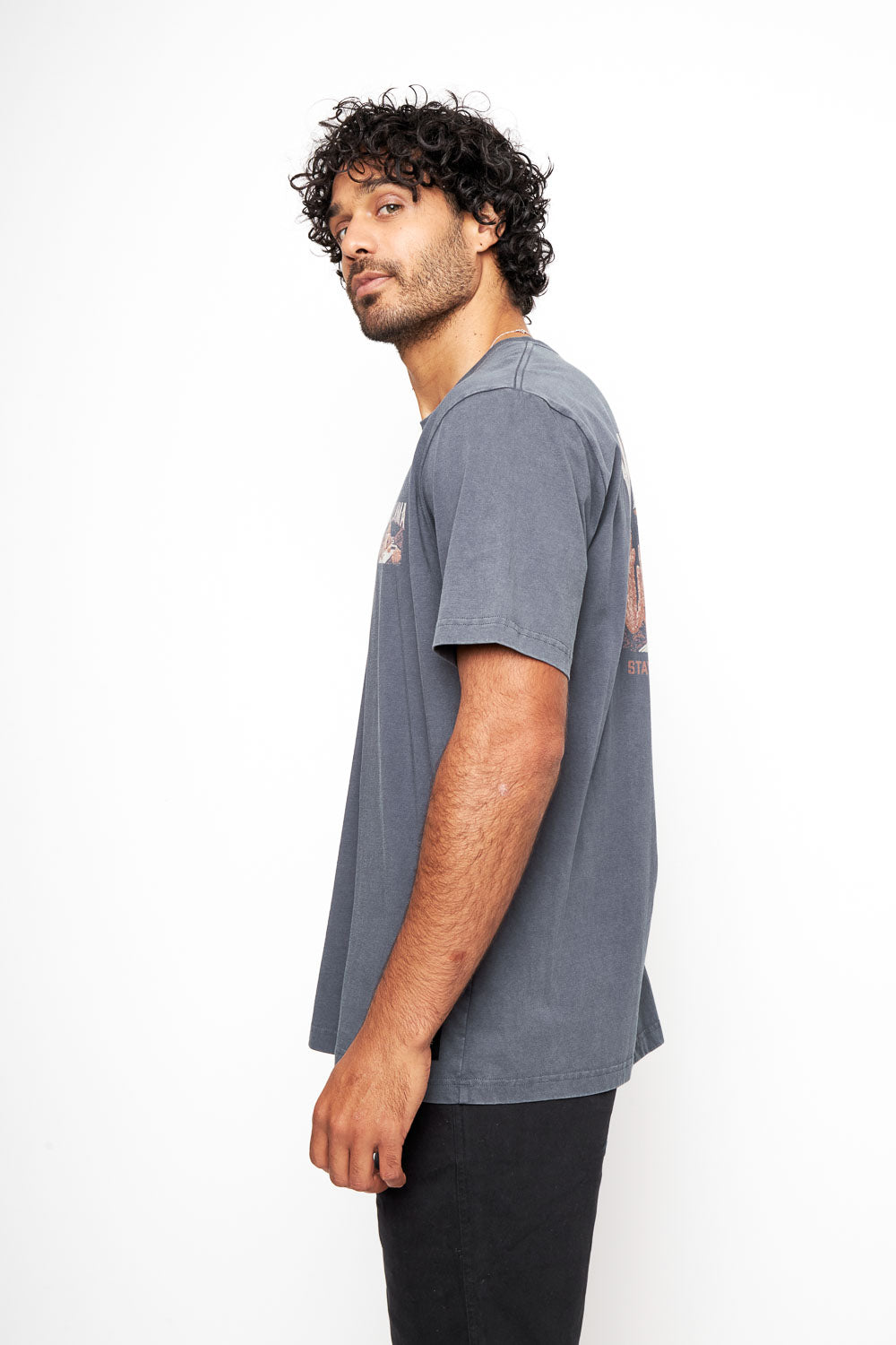 Polera Rolan Orgánica Azul hombre