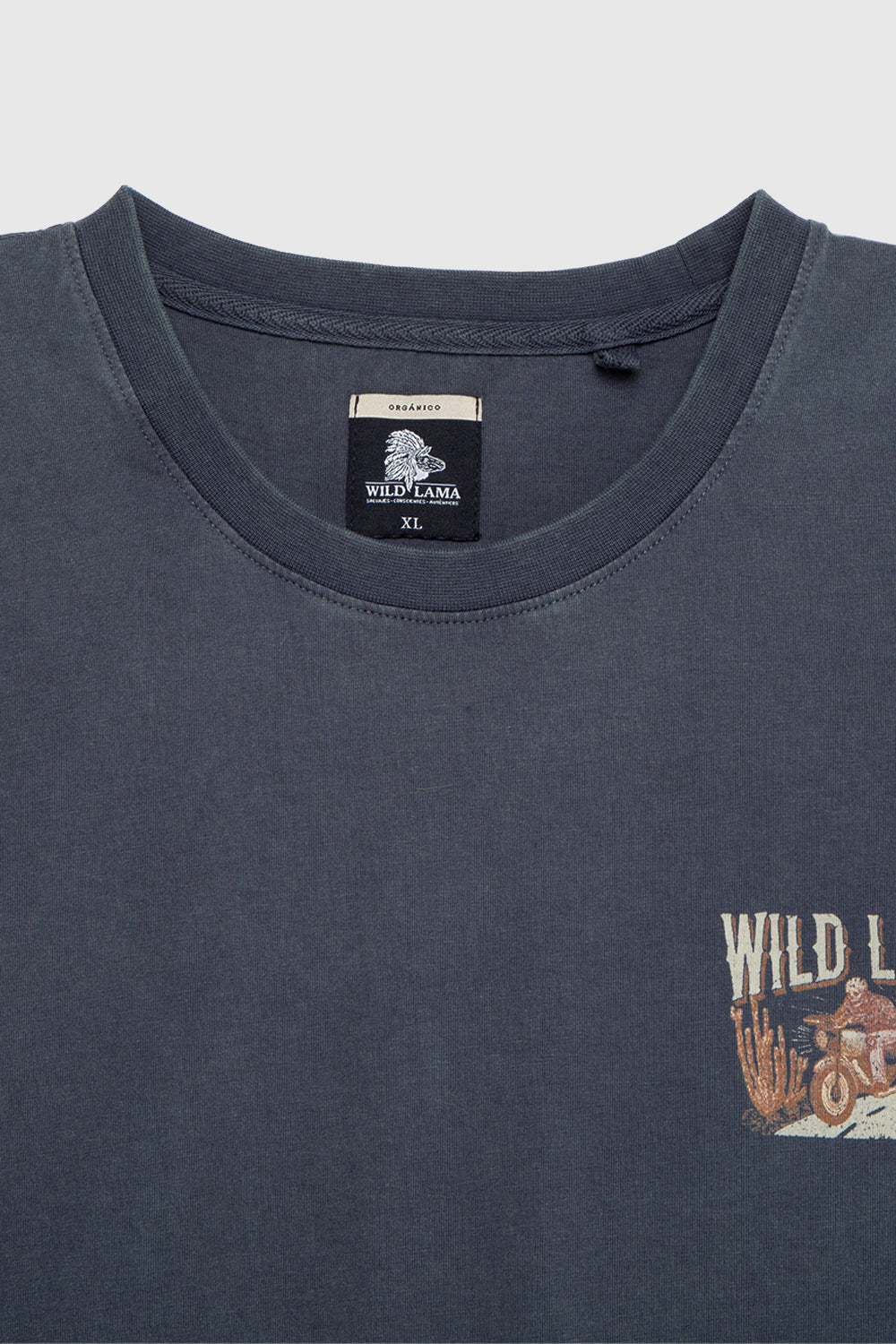 Polera Rolan Orgánica Azul hombre