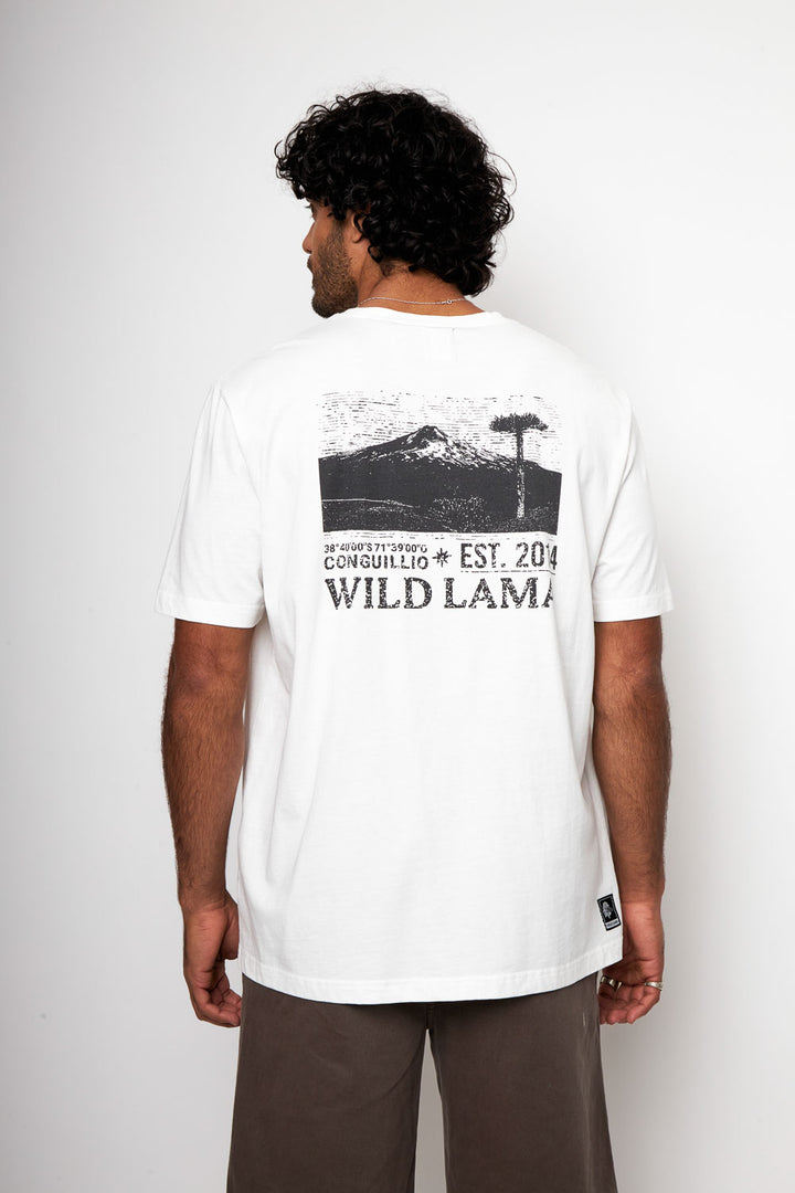 Polera Rolan Orgánica Blanca Hombre