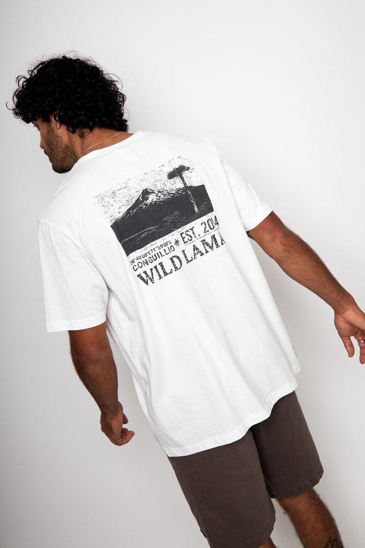 Polera Rolan Orgánica Blanca Hombre