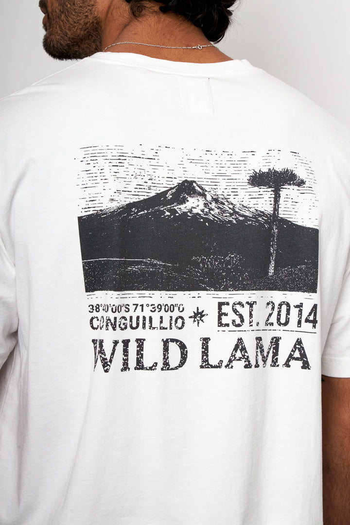 Polera Rolan Orgánica Blanca Hombre