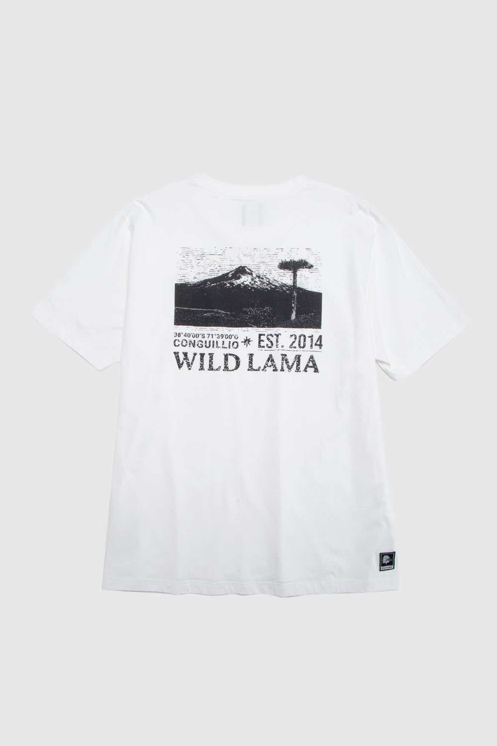 Polera Rolan Orgánica Blanca Hombre