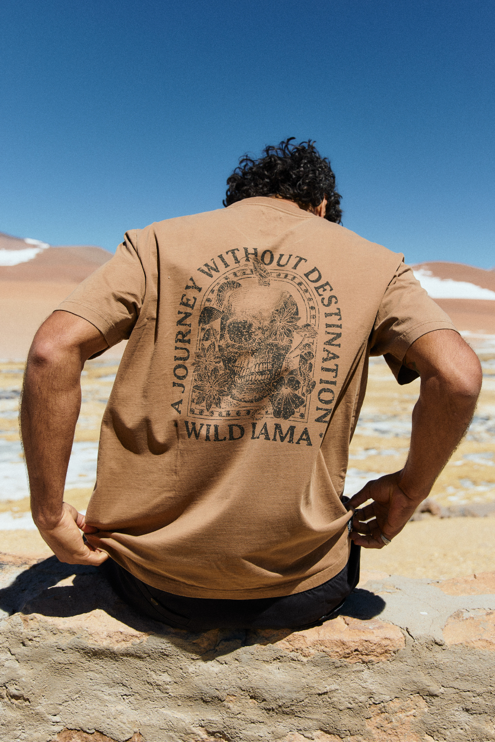 Polera Rolan Orgánica Camel Hombre