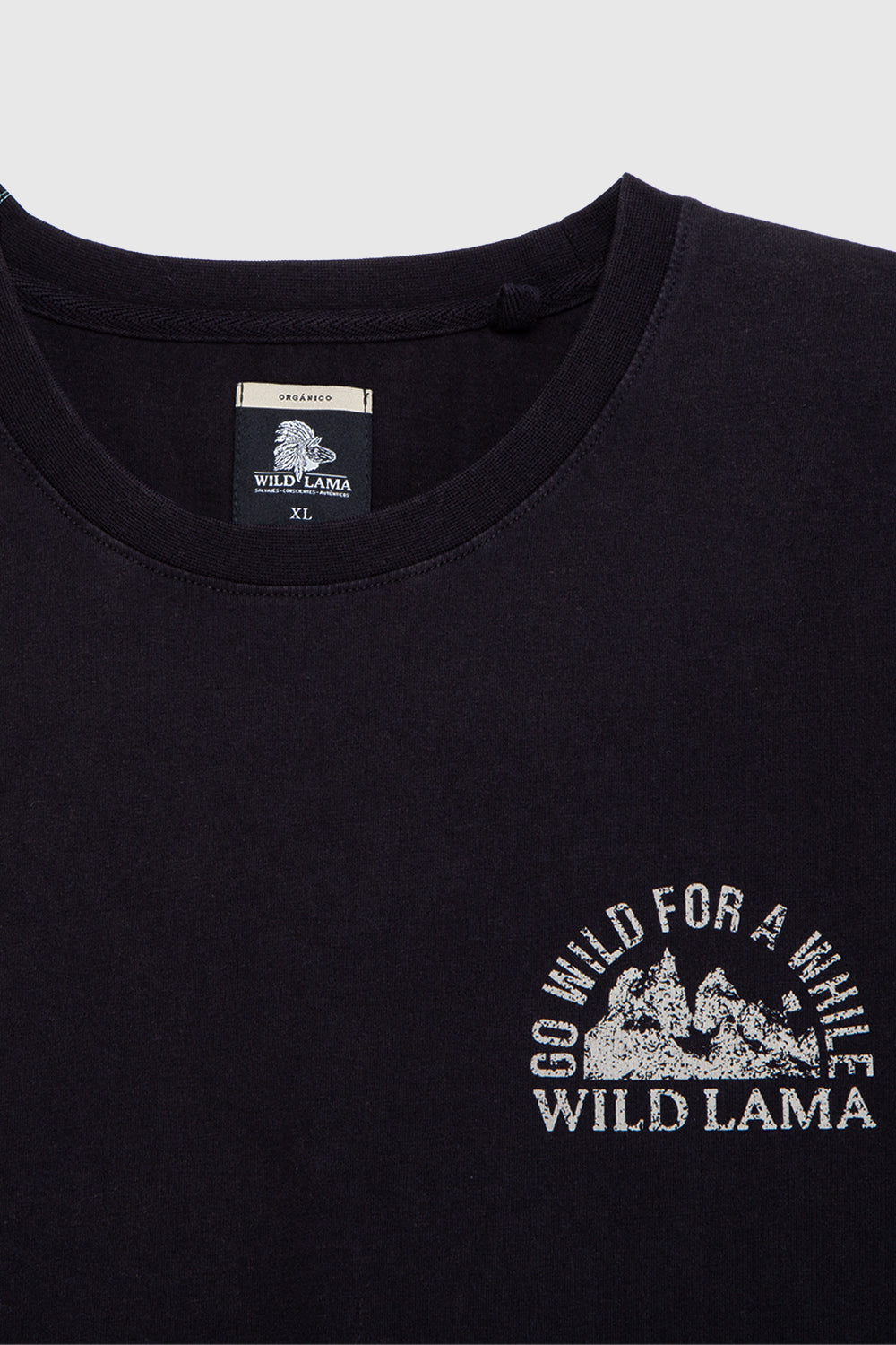 Polera Rolan Orgánica Negra Hombre