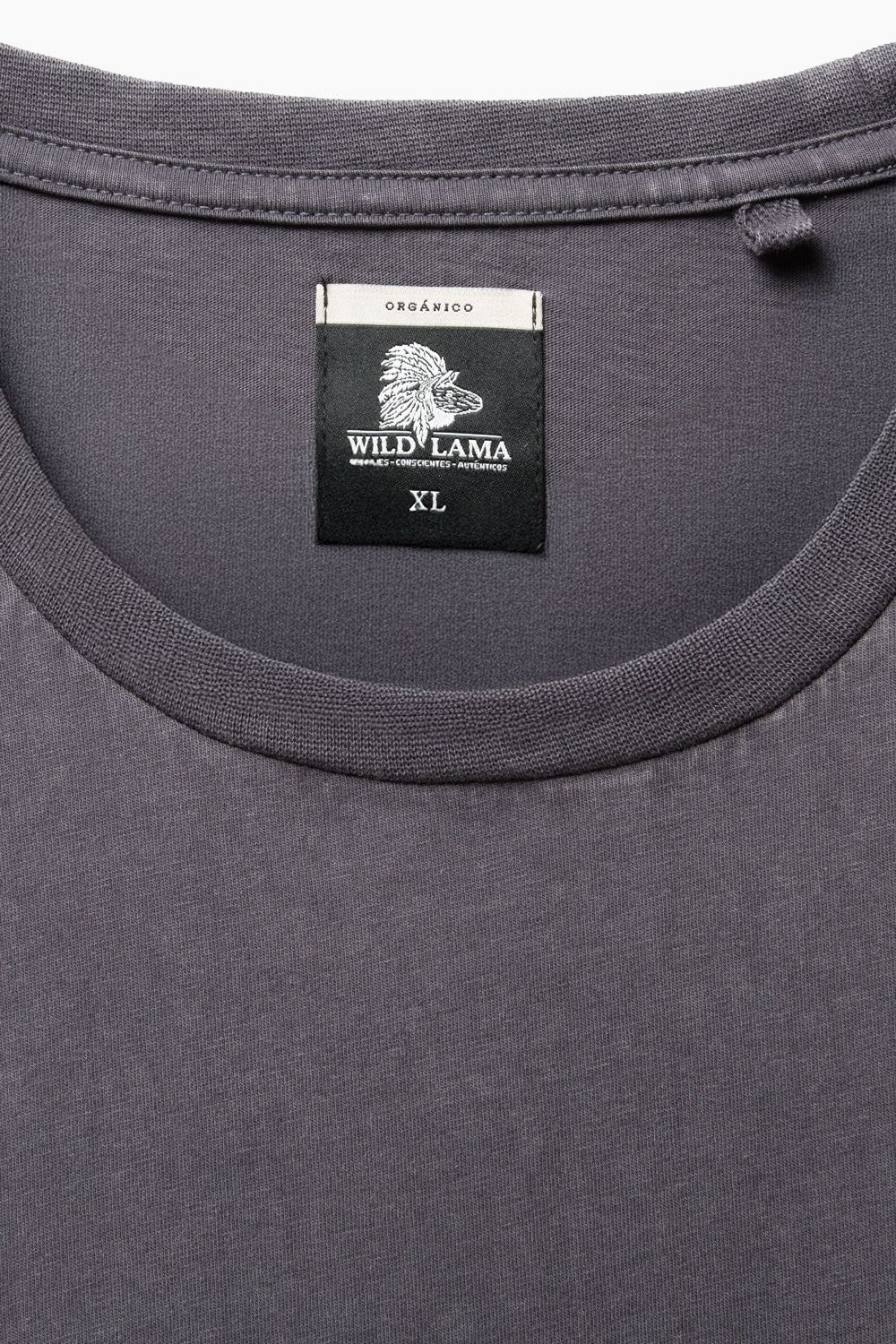 Polera Tori Orgánica Azul Hombre