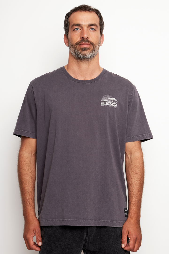 Polera Tori Orgánica Azul Hombre