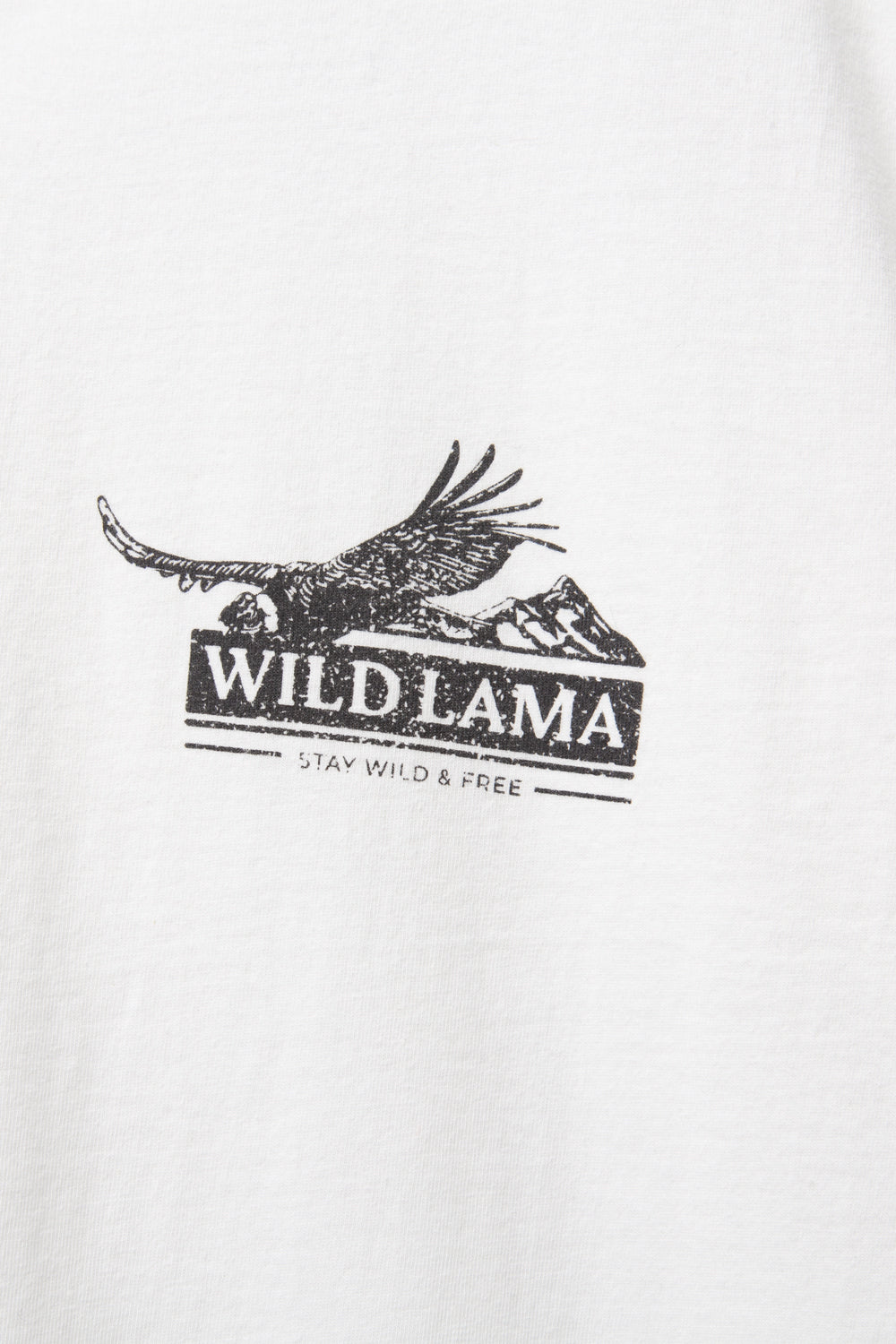 Polera Tori Orgánica Blanca Hombre