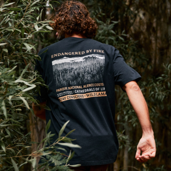 Poleras hombre