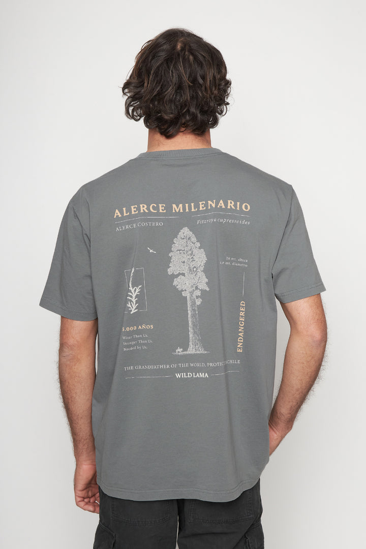 Polera Rolan Orgánica Azul Hombre