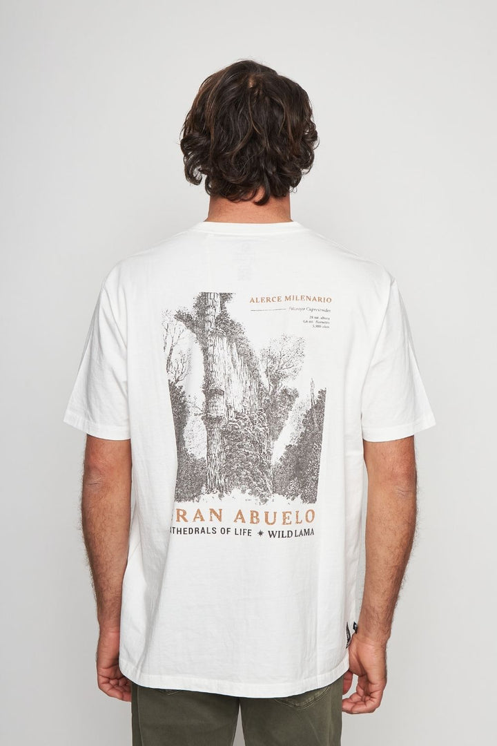 Polera Rolan Orgánica Blanca Hombre