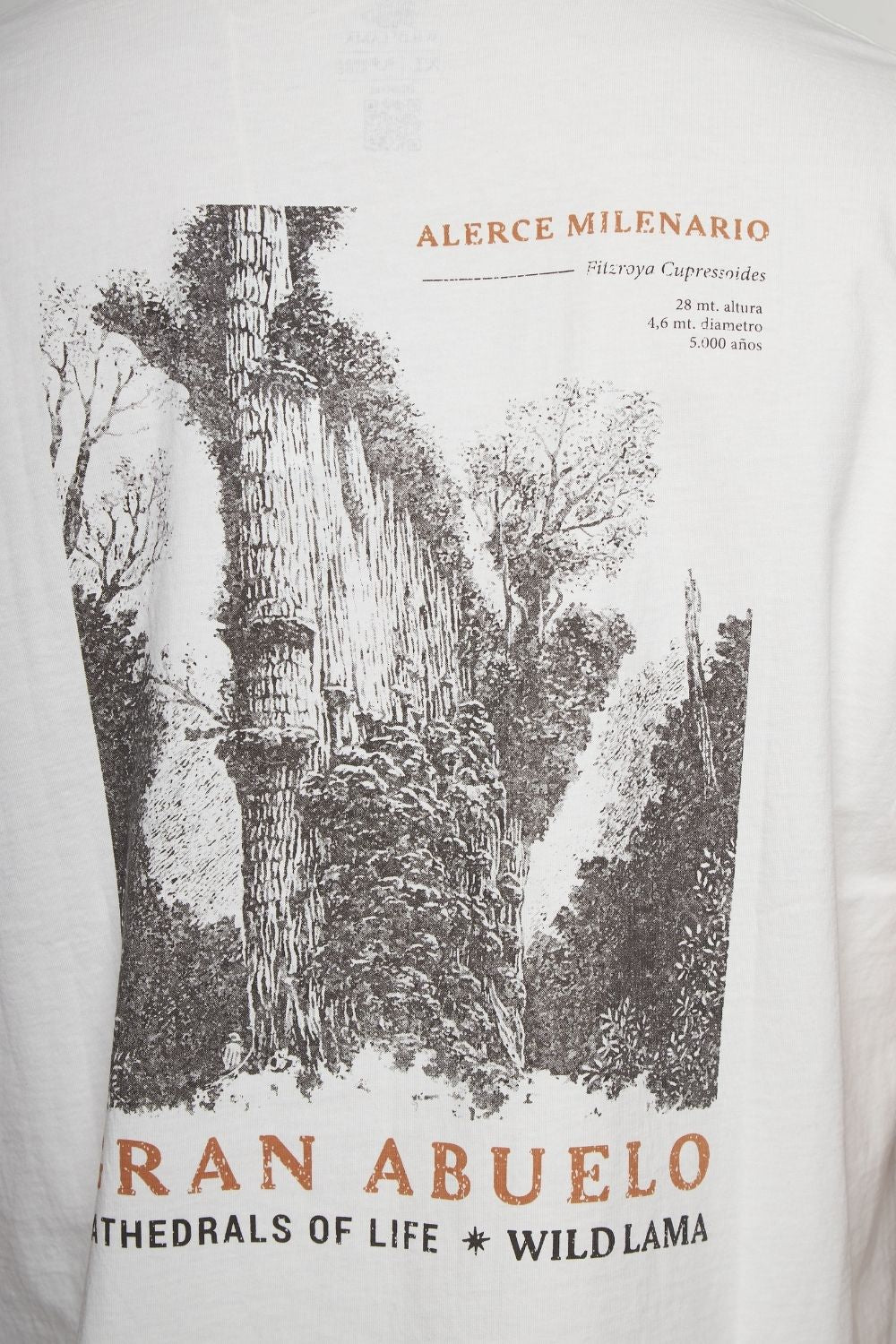 Polera Rolan Orgánica Blanca Hombre